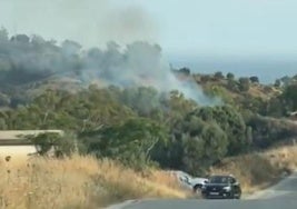 Extinguido el incendio forestal declarado en El Chaparral, en Mijas