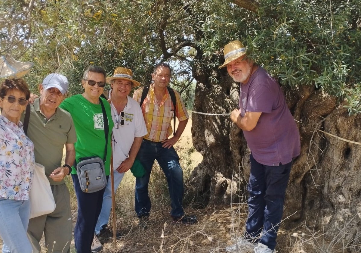 Los participantes en la iniciativa, junto a uno de los ejemplares de olivos milenarios en Vélez-Málaga.