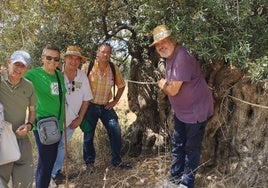 Los participantes en la iniciativa, junto a uno de los ejemplares de olivos milenarios en Vélez-Málaga.