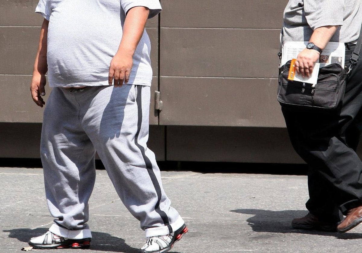 La obesidad es una de las enfermedades que puede llevar aparejada el desarrollo del hígado graso.