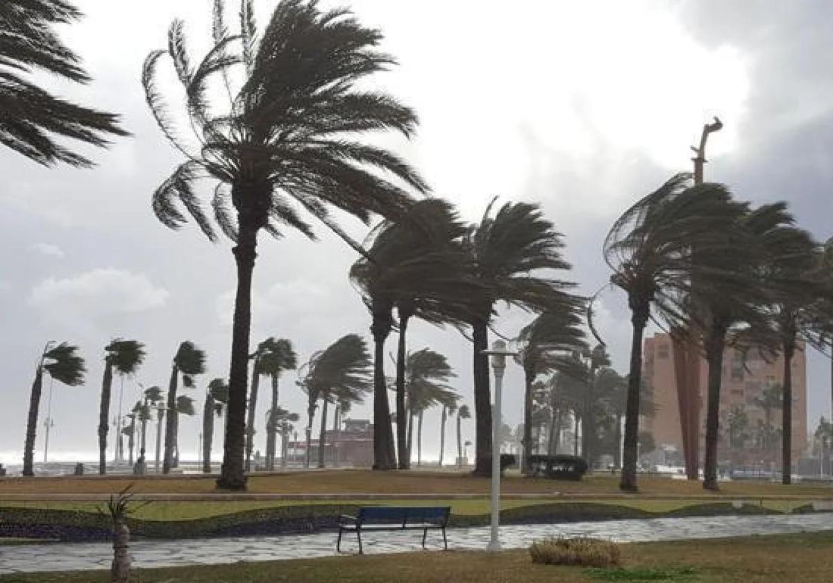Málaga registra la racha de viento máxima de su serie histórica en junio