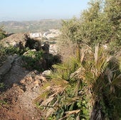 Vista panorámica de parte de lo que podría ser un nuevo parque forestal de Málaga.
