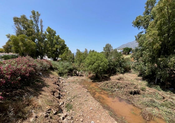 El cauce de río Verde se encuentra actualmente lleno de cañas que dificultan el flujo hídrico.
