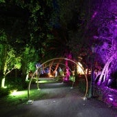 La Concepción volverá a ser el escenario de un espectáculo de luz y sonido la próxima Navidad