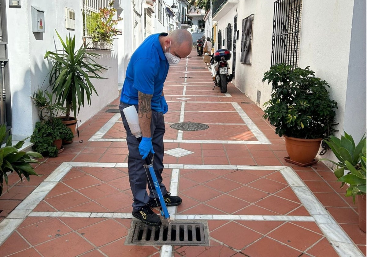 Campaña contra las larvas de mosquito en los imbornales del municipio.