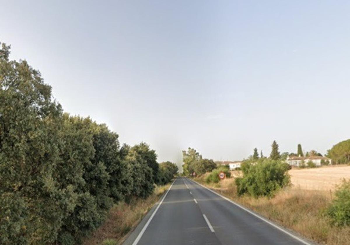 Imagen de un tramo de la carretera donde ocurrió el accidente.