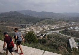 Un ejemplar recién plantado con la protección circundante en la zona de Monte Victoria.