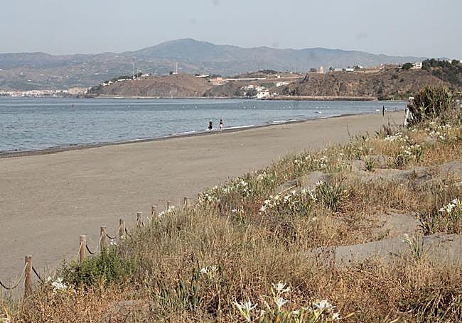 Las Dunas de la Carraca.