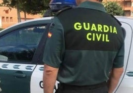 Dos detenidos tras hallar 300 kilos de marihuana en un contenedor declarado con alfalfa en Málaga