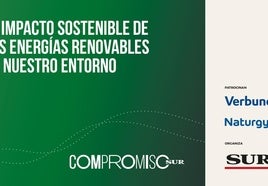 SUR analiza 'El impacto sostenible de las energías renovables en nuestro entorno'