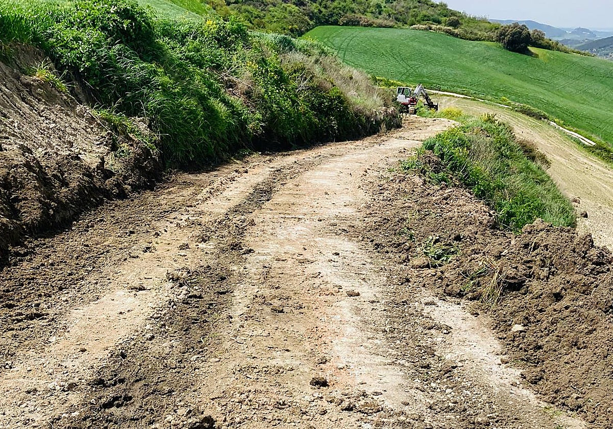 Foto de unos de los caminos afectados por la dana.