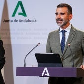 Ramón Fernández-Pacheco, consejero de Agricultura.