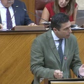 Rafael Márquez, en su última intervención en el Parlamento.