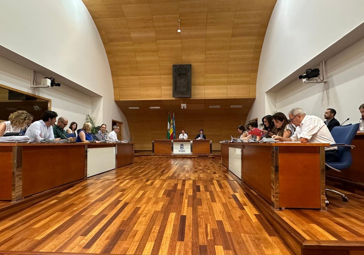 Sesión plenaria en Fuengirola.