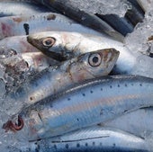 ¿Crías de sardina o boquerón? Estas son las tallas mínimas que debes tener en cuenta para comprar en pescadería