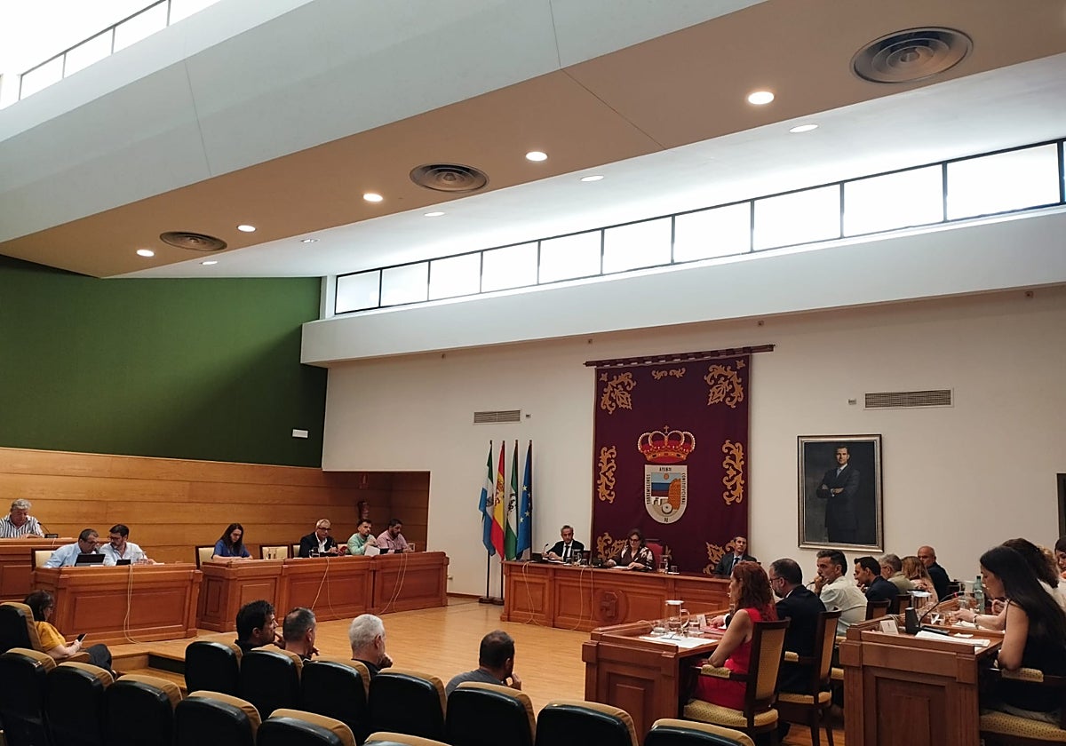 Sesión plenaria en Torremolinos.