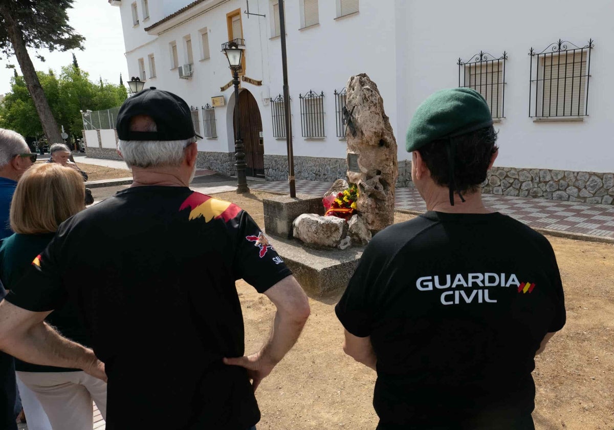 www.diariosur.es