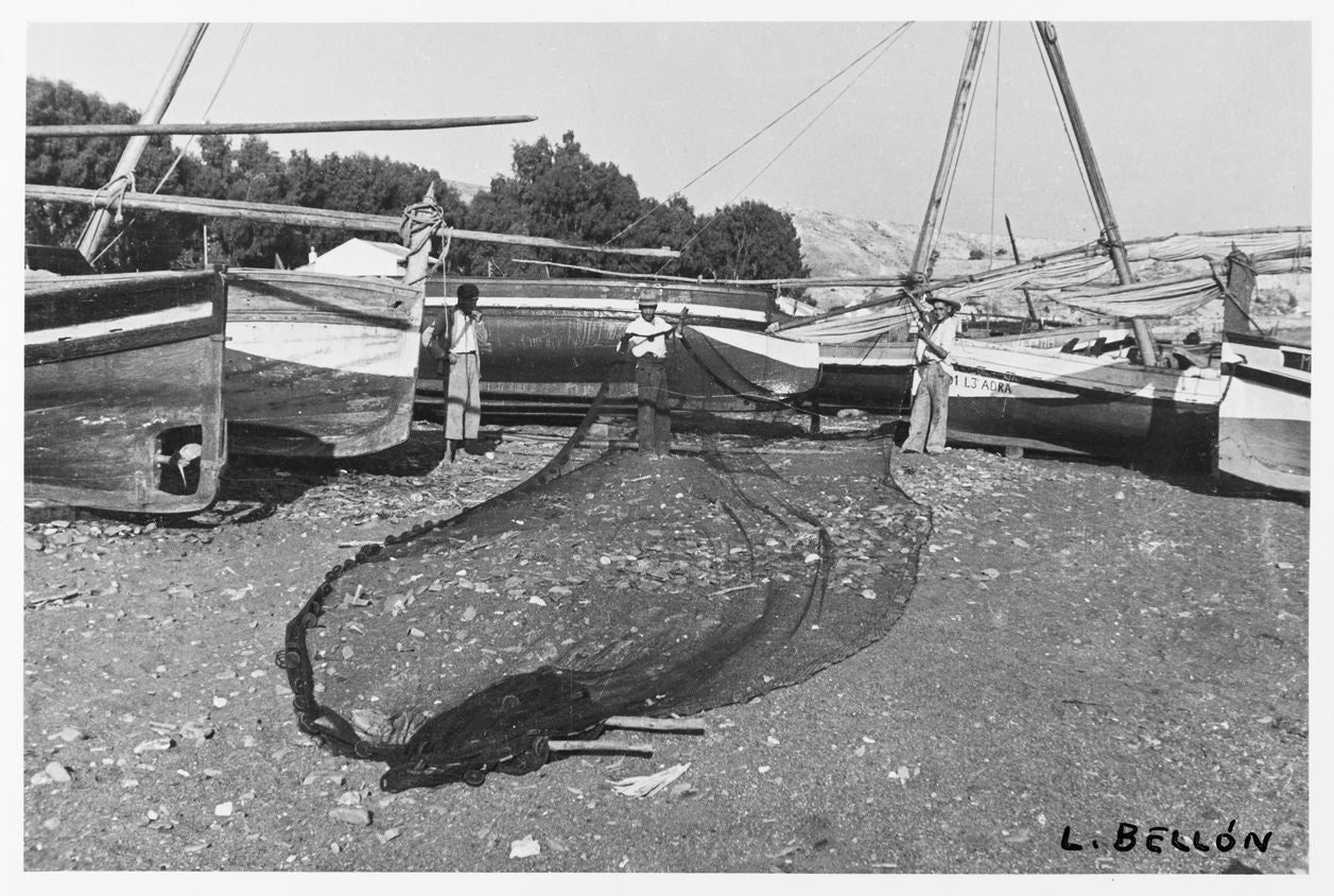 Arte del sardinal. Luis Bellón (ca 1947-1948)