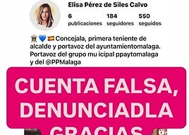 Suplantan la cuenta de Instagram de la teniente alcalde de Málaga, Elisa Pérez de Siles