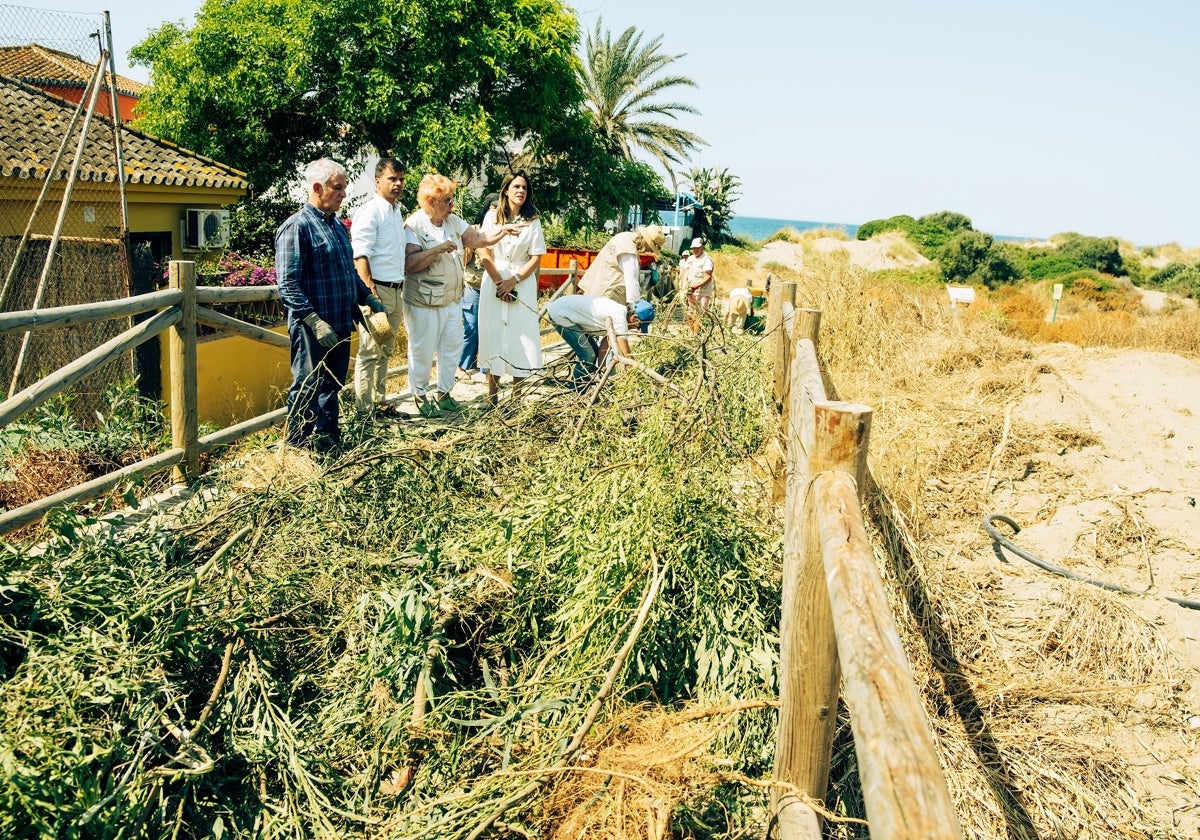 Trabajos intensivos de conservación en la Reserva Ecológica Dunas de Marbella.
