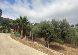 Imagen del acceso a la vivienda donde ocurrieron los hechos, con la cancela de hierro que saltó el presunto agresor.