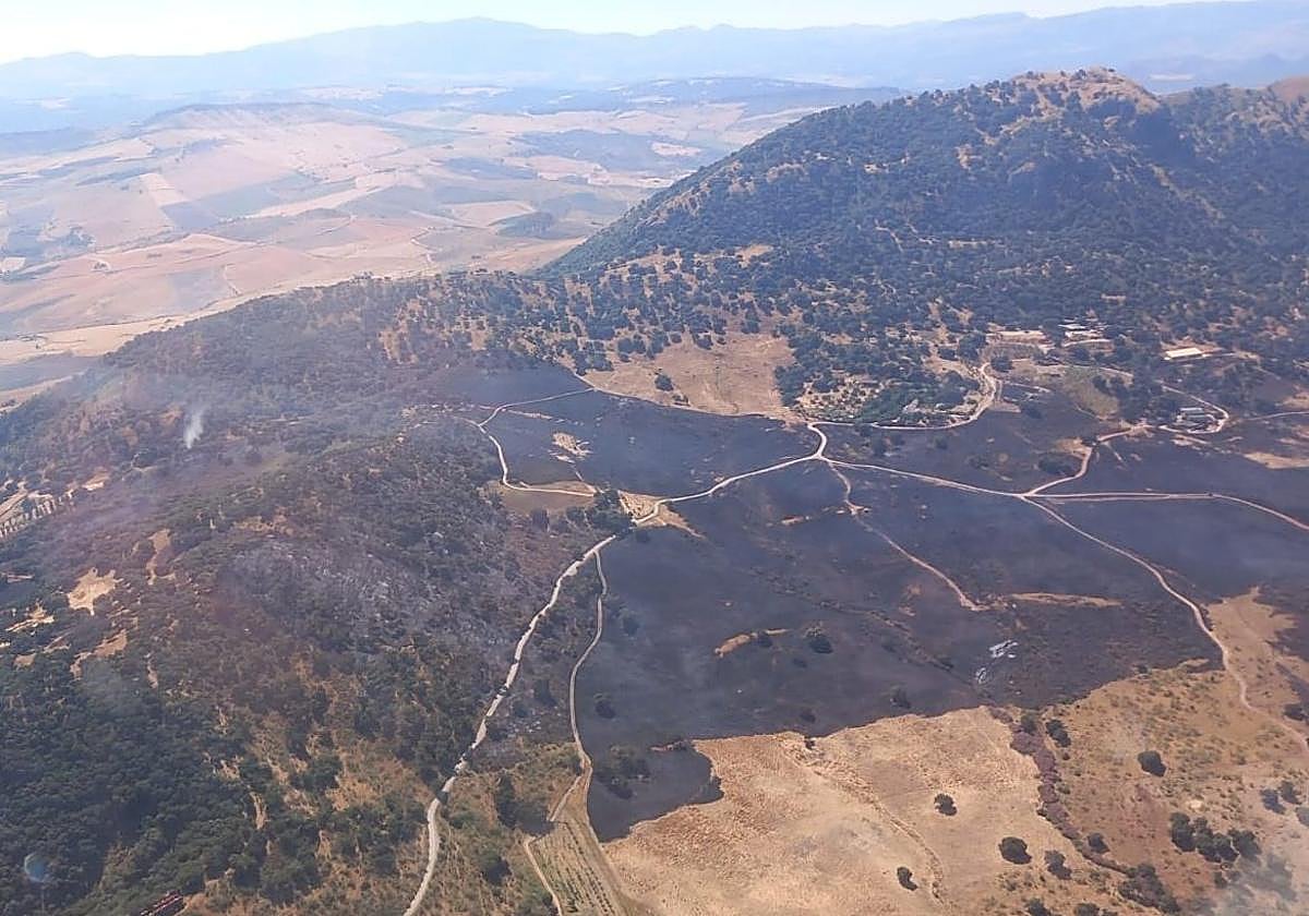 Estado en el que ha quedado el área afectada.