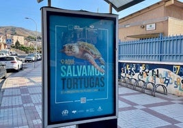 Cartelería instalada con motivo de la campaña.