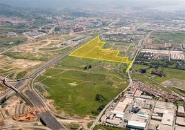 Suelos de la zona de Buenavista en los que está prevista la construcción de más de 1.300 VPO.