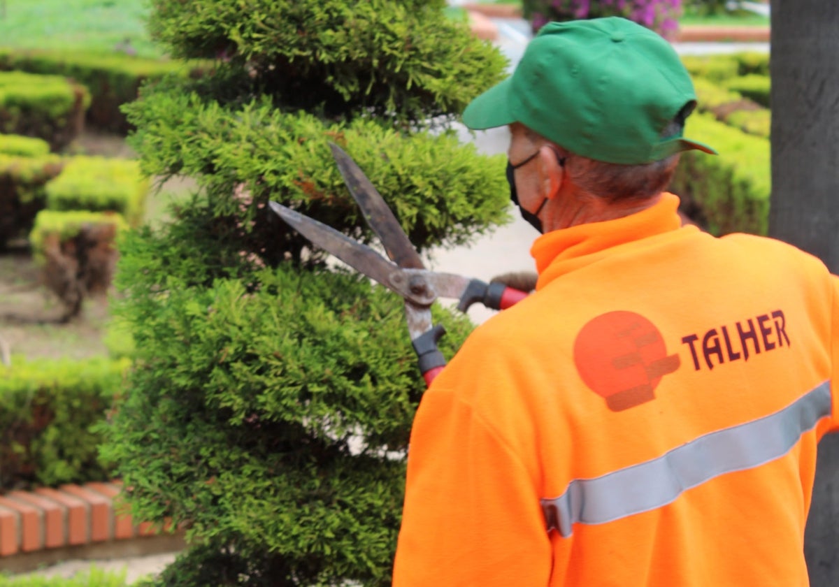 La UTE formada por Integra y Talher se hará cargo del servicio.