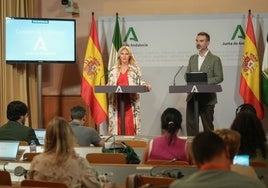 Los consejeros Carolina España y Ramón Fernández-Pacheco, tras el Consejo de Gobierno de este miércoles.