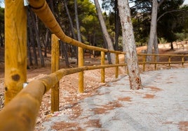 Nuevo vallado en el paraje del Olivar de los Manantiales.