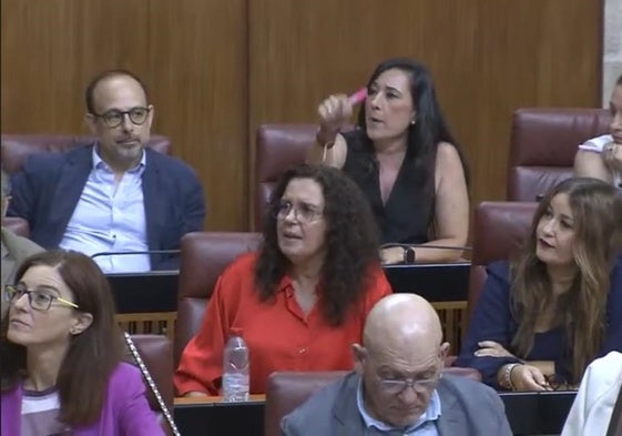 Parlamentarios del Grupo Socialista.