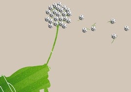No al Mundial 2030: entre el deseo y la sensatez