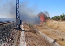 Imagen del incendio ocurrido próximo a las vías.