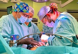 Un trasplante de hígado en el Regional de Málaga.