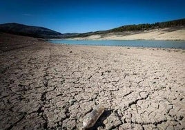 Pantano en la provincia de Almería el pasado verano.