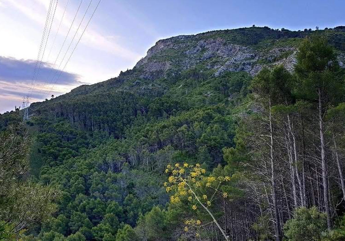 La Sierra de Mijas-Alpujata que se busca convertir en Parque Natural.