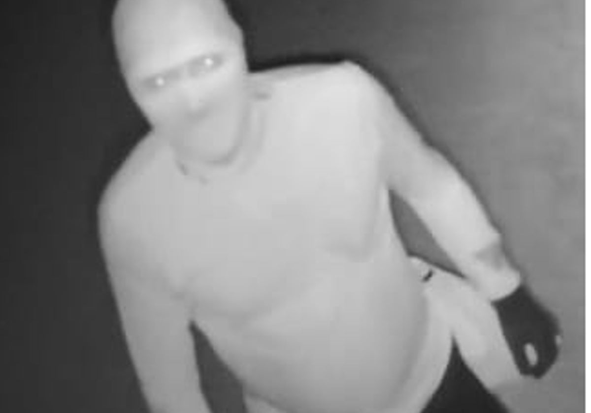 Imagen de uno de los ladrones, captada por cámaras de videovigilancia.