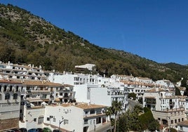 Detenido en Mijas por agredir a policías locales tras ser captado por actos vandálicos en la calle