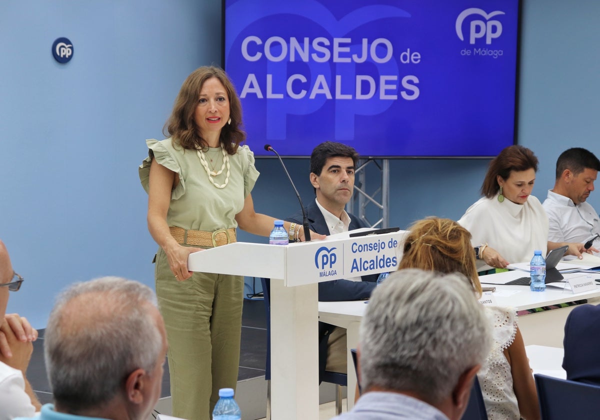 Navarro, esta mañana, durante la celebración del Consejo de Alcaldes.