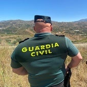 Arrestan a un acusado de abandonar y maltratar a dos caballos en Granada