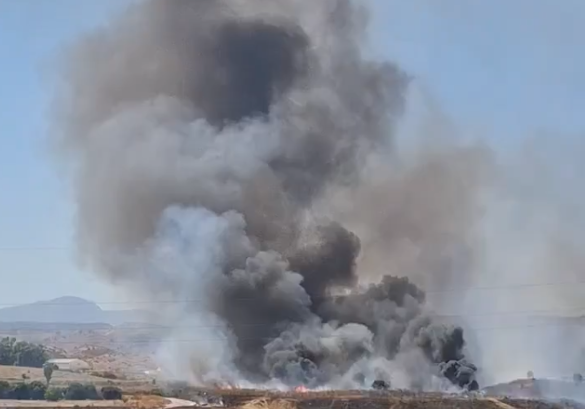 Imagen del fuego.
