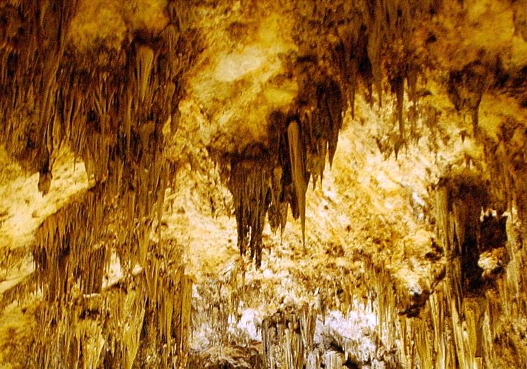 Interior de la Cueva de Nerja.