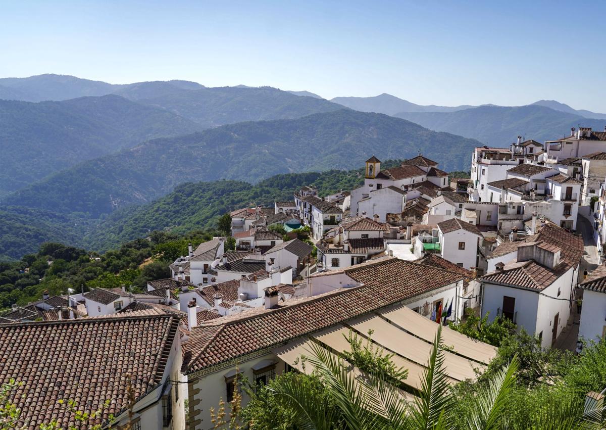 Imagen secundaria 1 - Tomates de huertas cercanas. Vista panorámica de Benalauría. Vinos de la bodega.