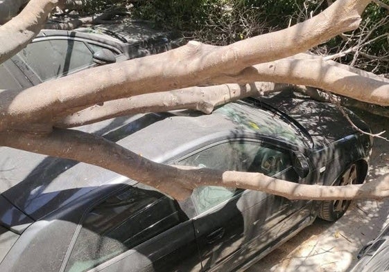 El siniestro afectó a cuatro vehículos que estaban estacionados.