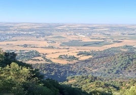 Imagen de la zona afectada por el fuego.