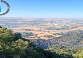 Imagen de la zona afectada por el fuego.