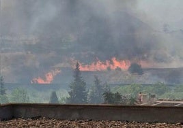Málaga, en riesgo extremo por incendios forestales