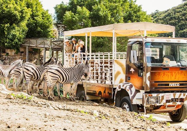 De safari en la Costa del Sol.