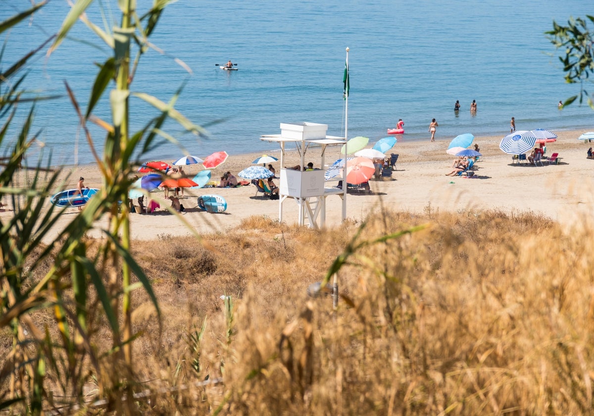Los bañistas se multiplican en Marbella durante la temporada alta.